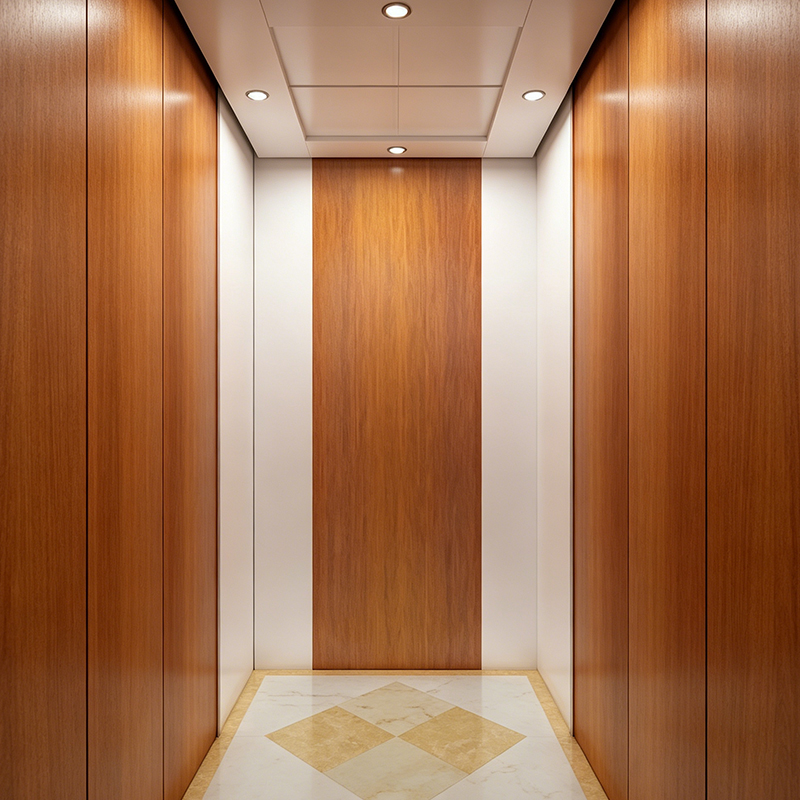 Simpleng Disenyong Stoving Varnish Steel Plate Home Villa Elevator