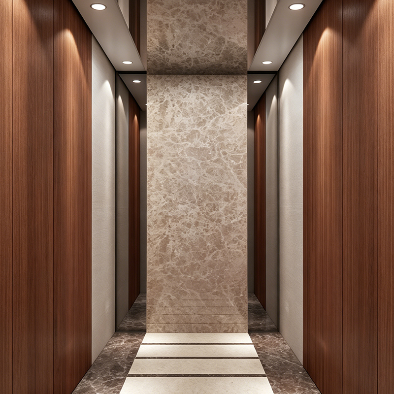 Elegant Metal Stoving Varnish Modeling Home Villa Lift para sa Maliit na Lugar