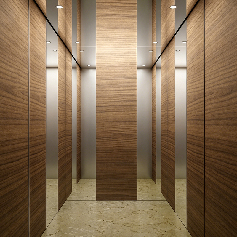 Modernong Wood Veneer Cabin Interior Villa Passenger Lift